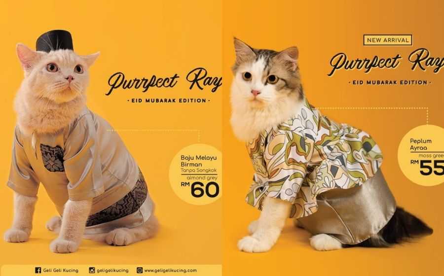 Kucing pakai songkok