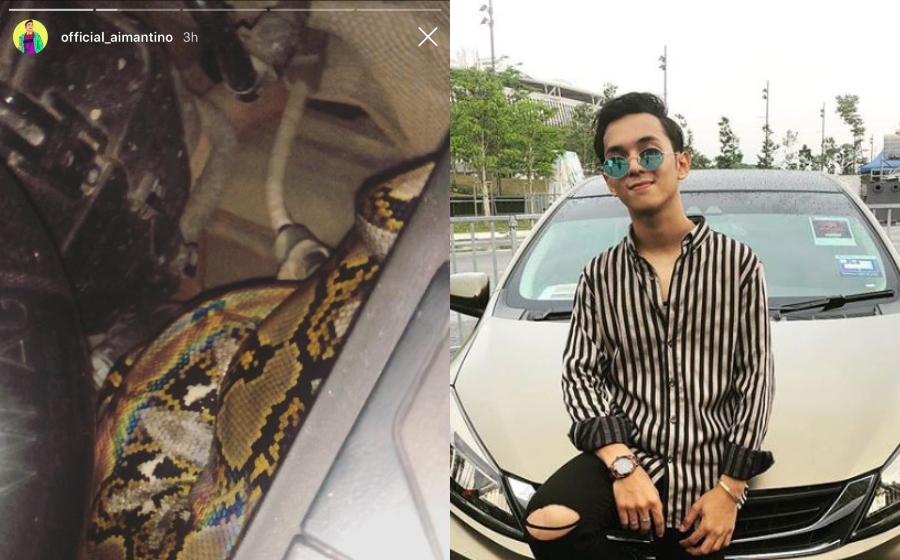 Bukan Biasa-Biasa, Ular Masuk Dalam Enjin keretau201d u2013 Aiman Tino 