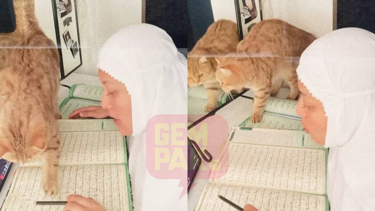 Kucing Pijak Al-Quran, Nabila Huda; Nanti Saya Minta Maaf Dengan Allah