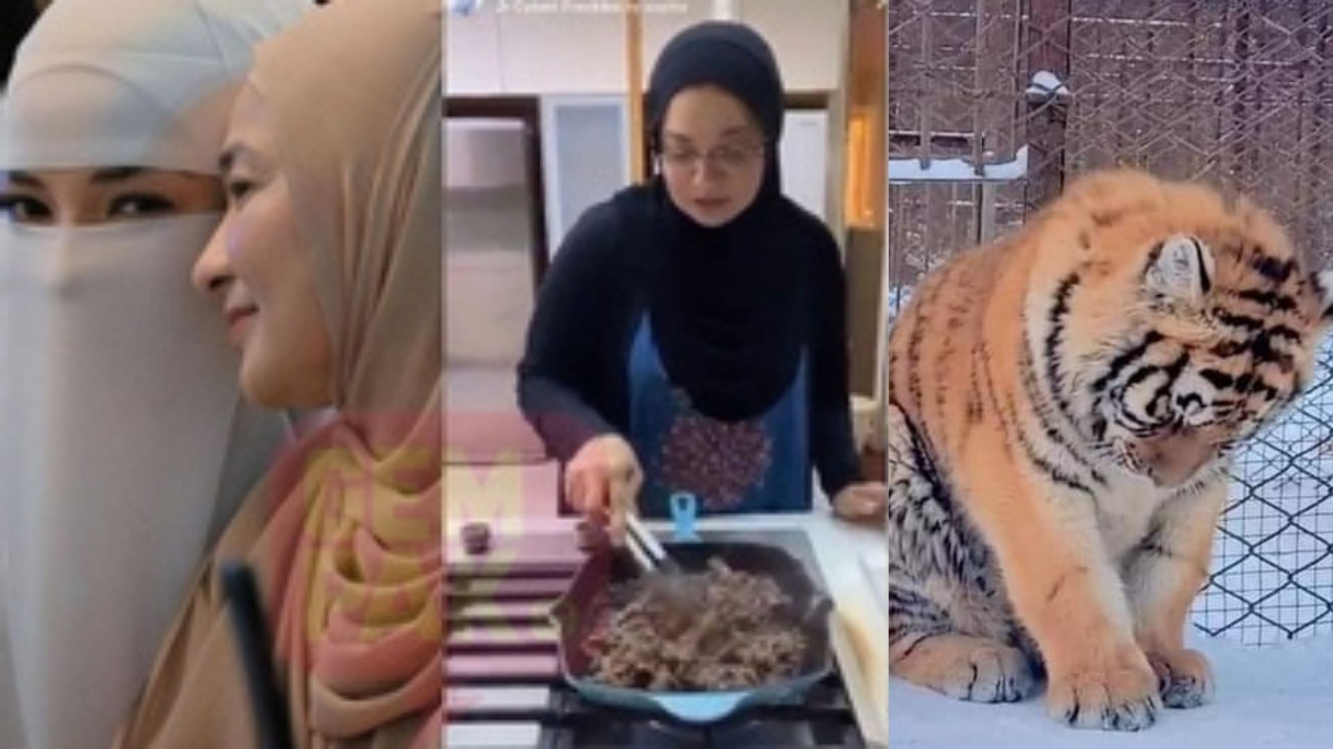 “Belum Lulus Atau Jadi Hak Eksklusif” - Isu Harimau Menangis, MyIPO Nasihat Ibu Neelofa Supaya Tidak...