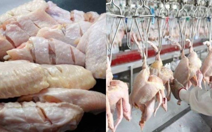 Kes Baru! COVID-19 Ditemui Pada Kepak Ayam Ketika Pemeriksaan Di...