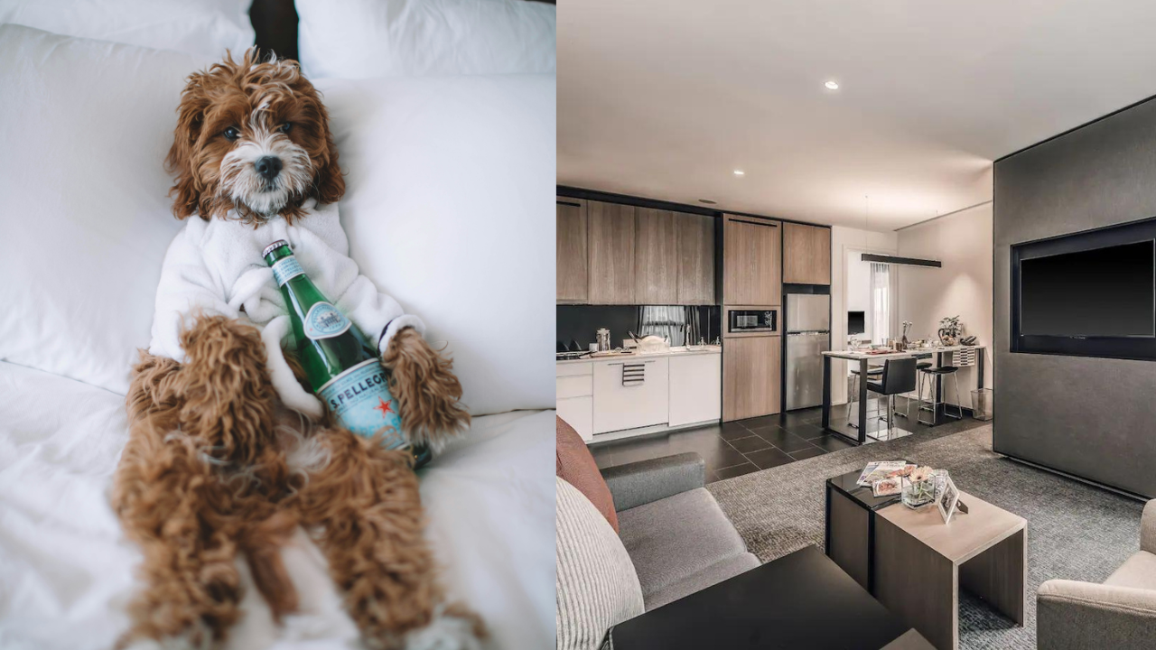 Article related to animals RojakDaily