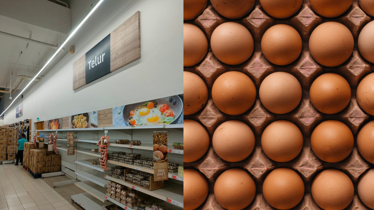 Nationwide Shortage Leaves Malaysians Eggravated Gempak