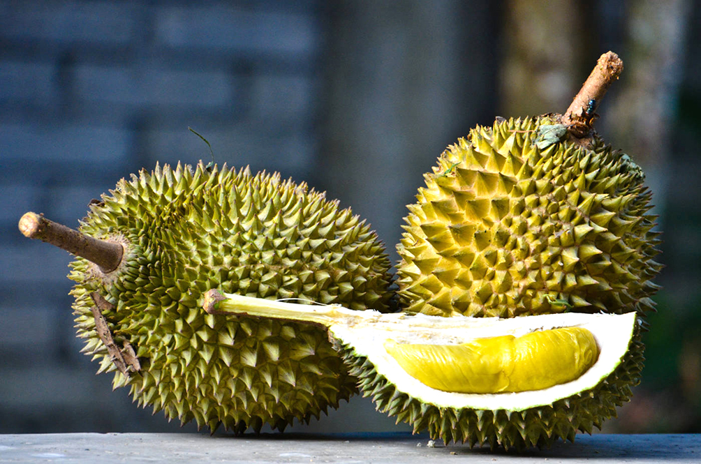 eating durian is one of the best things you can do for your body