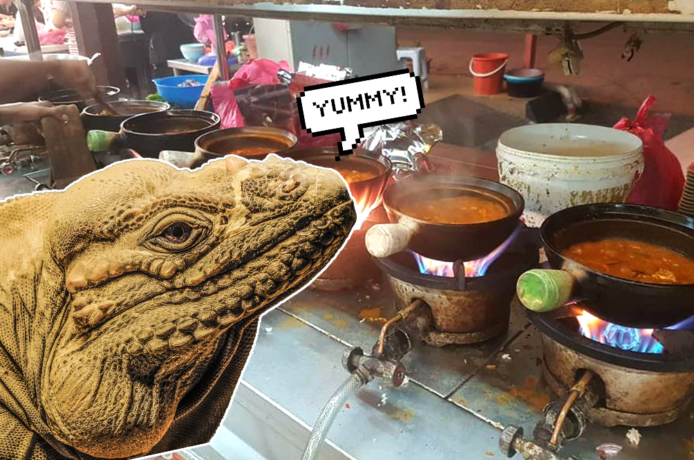 Guys, Are Your Tastebuds Ready For Some Monitor Lizard Claypot Curry