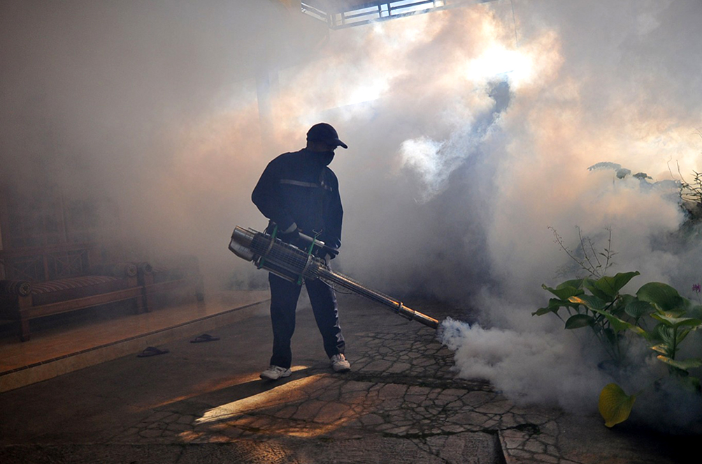 The Small Town Of Kulim Is Facing A Small Chikungunya Outbreak; 28
