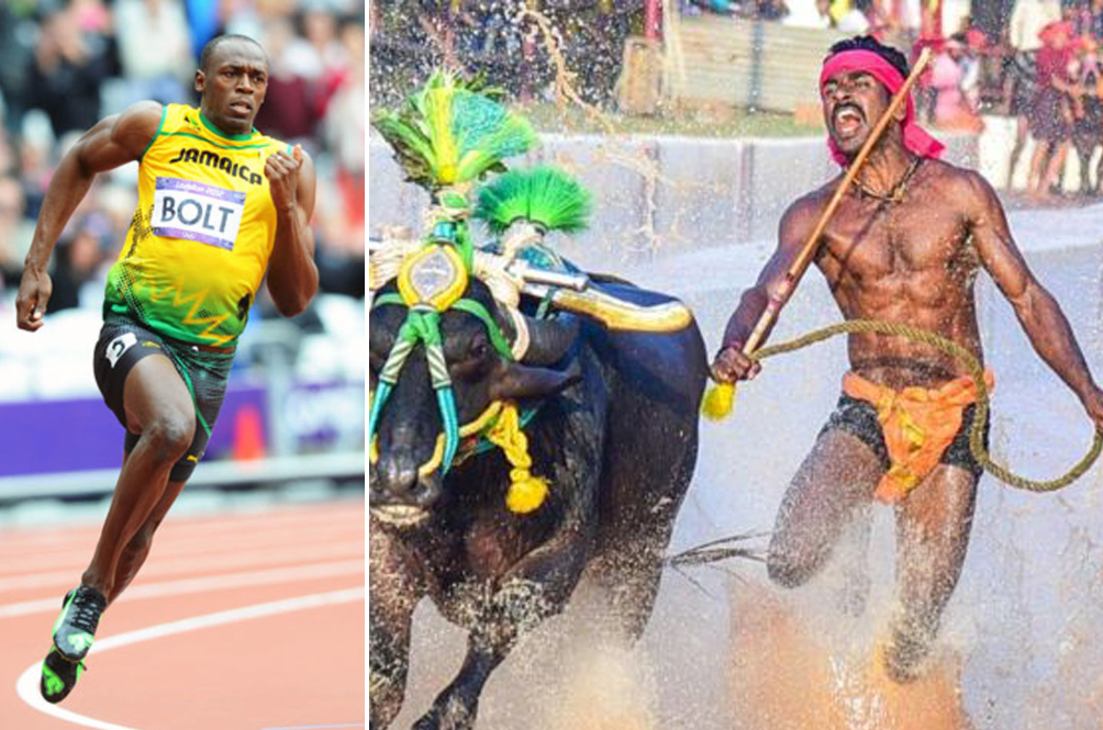 Indian Buffalo Racer May Dethrone Usain Bolt As Fastest Man In The