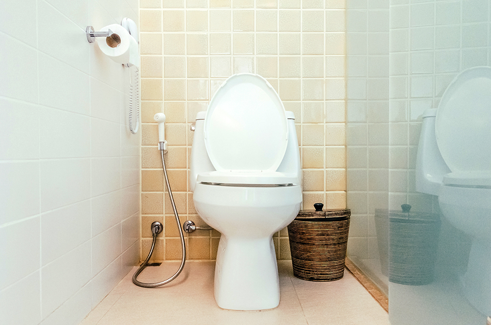 Latest Study Shows Why You Shouldn't Flush Your Toilet With The Lid Up