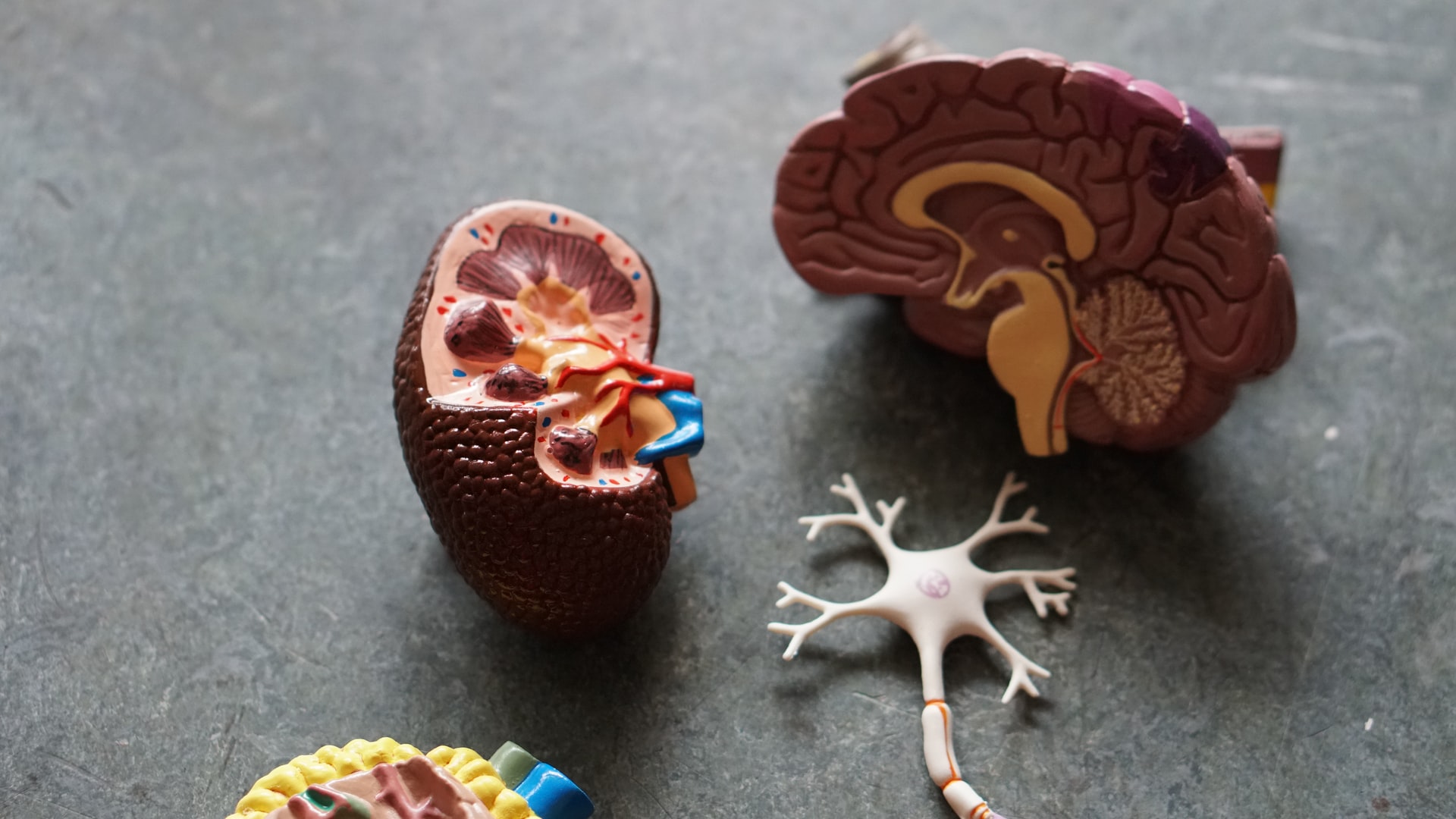 Unsplash/Robina Weermeijer Take care of your brain.