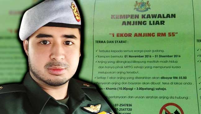 Rm55 For Every Stray Dog Caught News Rojak Daily