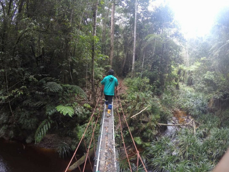 Farish Aziz Trek di hutan Maliau Basin.