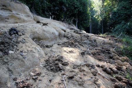 Hugh Paxton's Blog Tempat haiwan menjilat garam mineral.