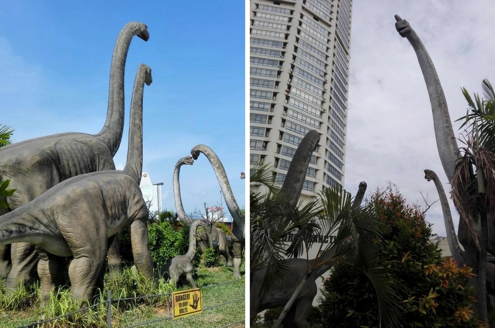 300 Gambar Dinosaurus Sebenar HD Paling Baru 300 Gambar Dinosaurus Sebenar HD Paling Baru
