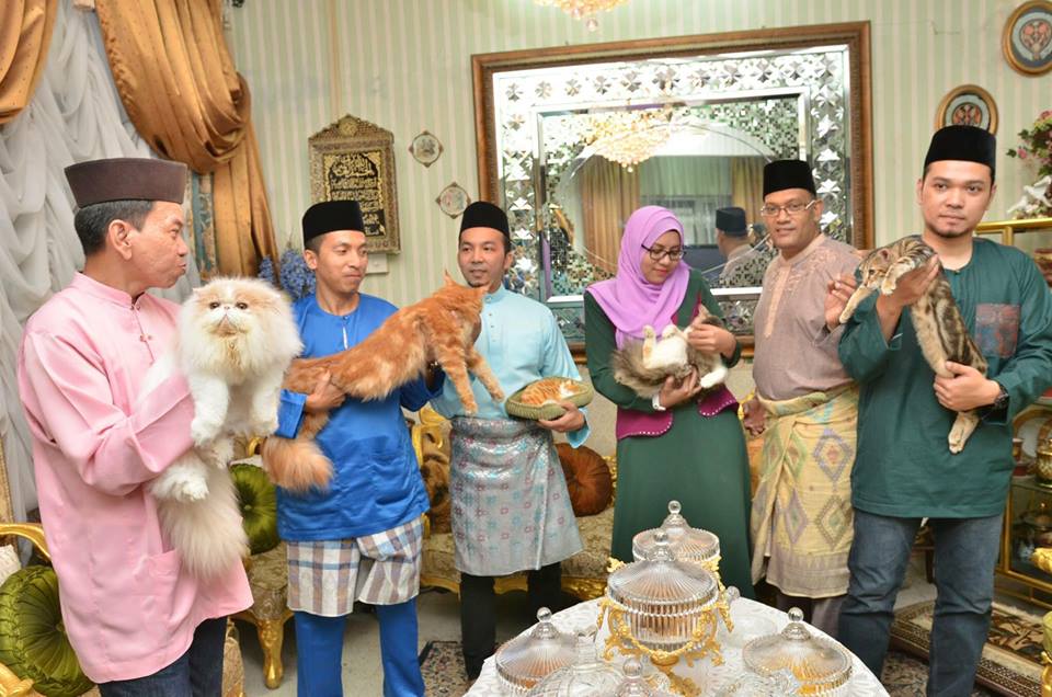 Khalid Lagi meriah kalau kucing ada.