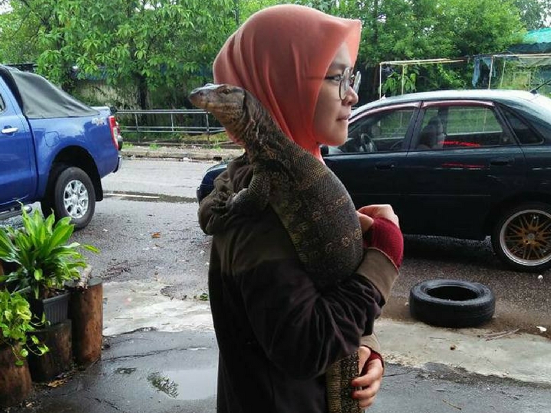 Dewi Gadis ini dikecam kerana mendukung gadis ini.