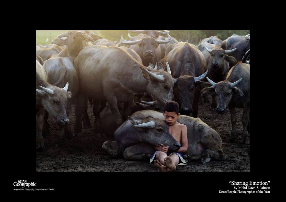 Mohd Nazri Sulaiman The winning photo.