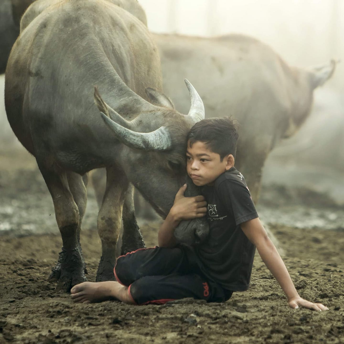 Syukor Khamis Kampong Boy Facebook See how genuine his love for buffaloes is!
