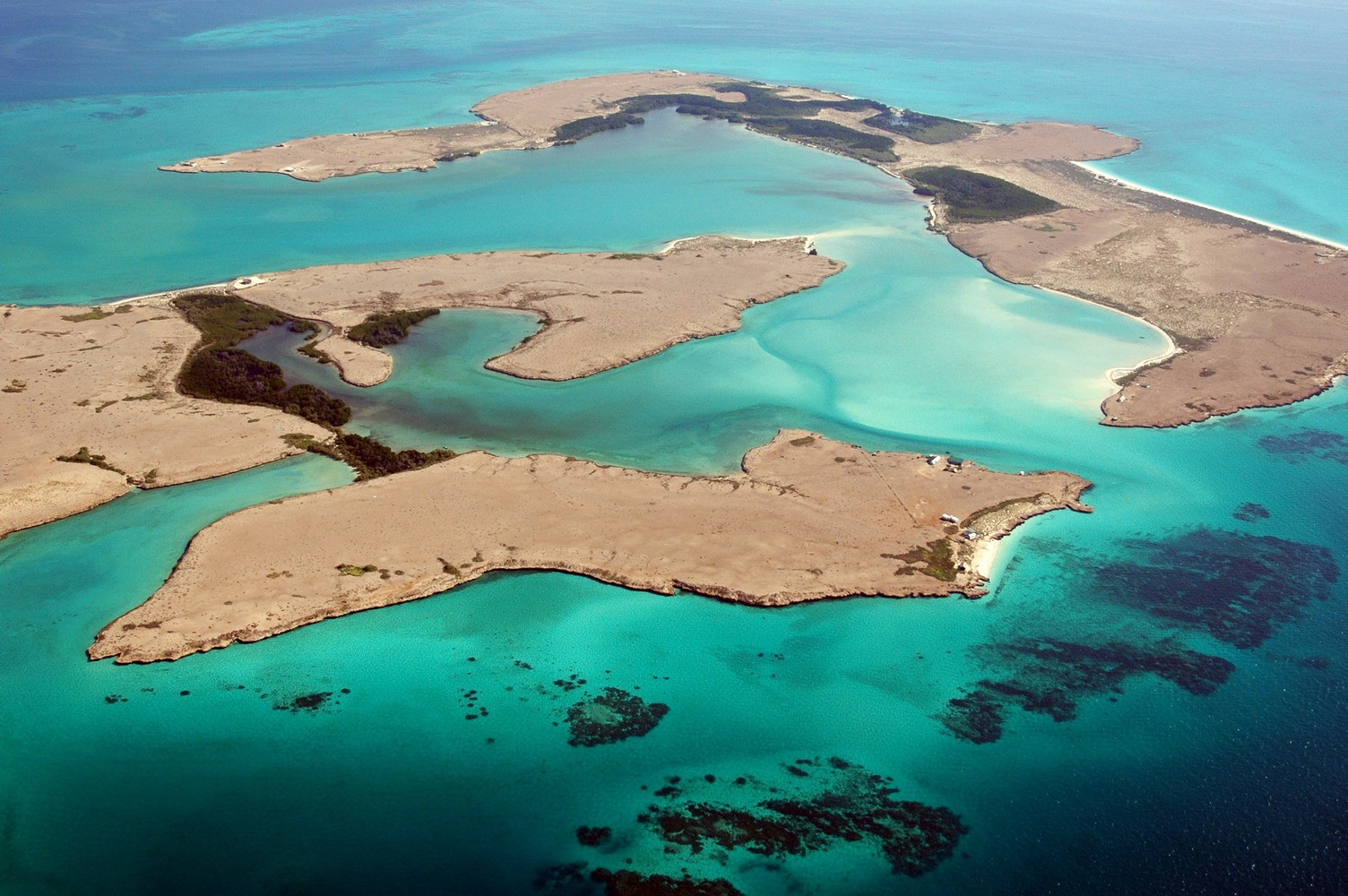 djiboutitour.com Head to Moucha Island to experience the vast marine life and of course whale sharks!