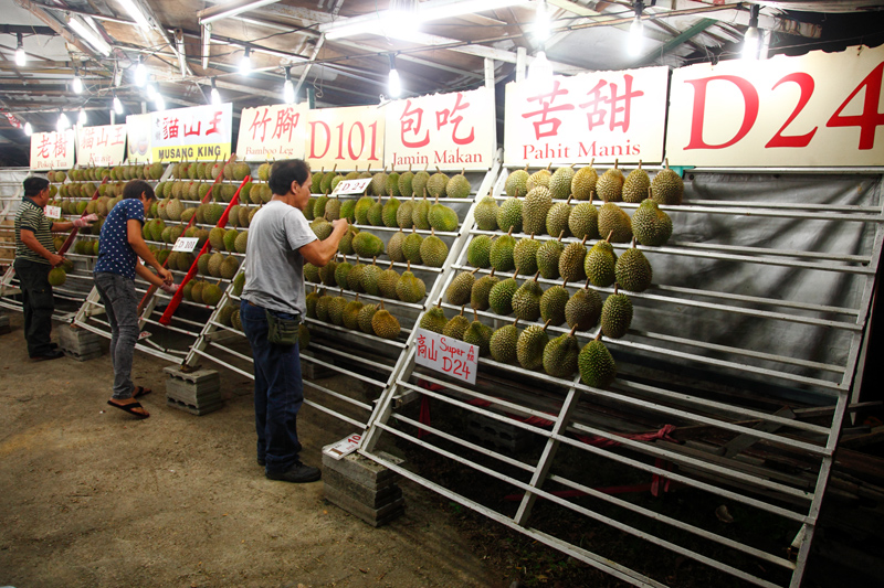 vkeong.com Quality durians all lined up.