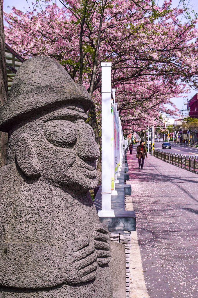 chaptertravel.com Instagram-worthy cherry blossoms!