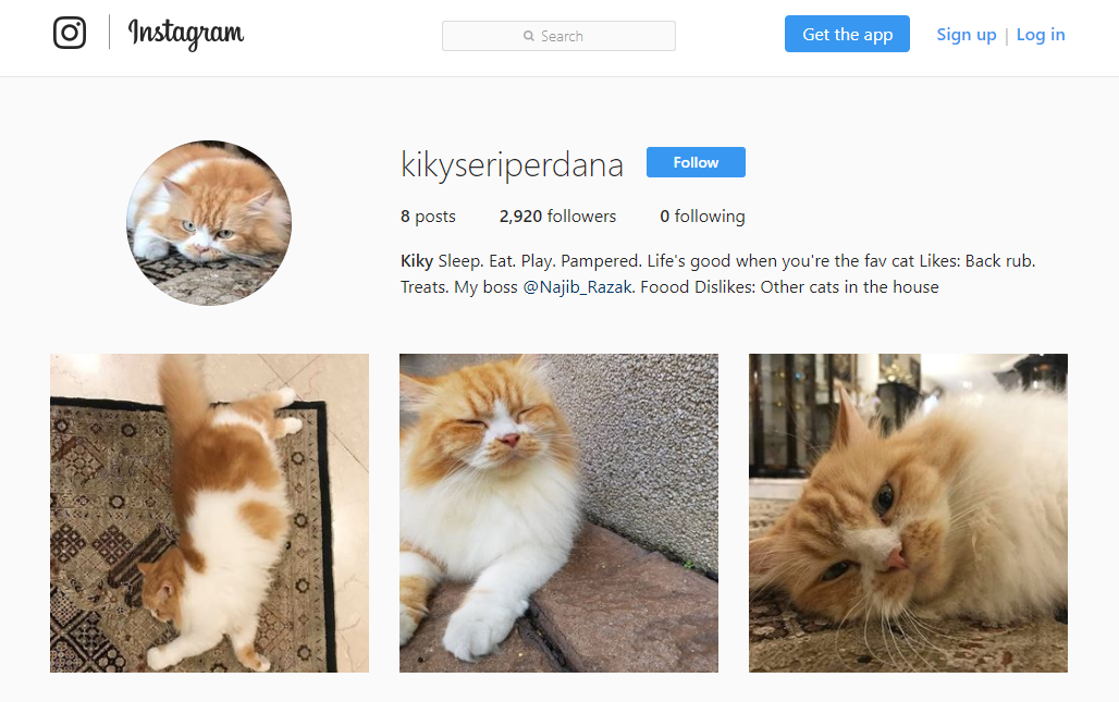 @kikyseriperdana Instagram We only have like 20%25 of your followers on Instagram, Kiky.