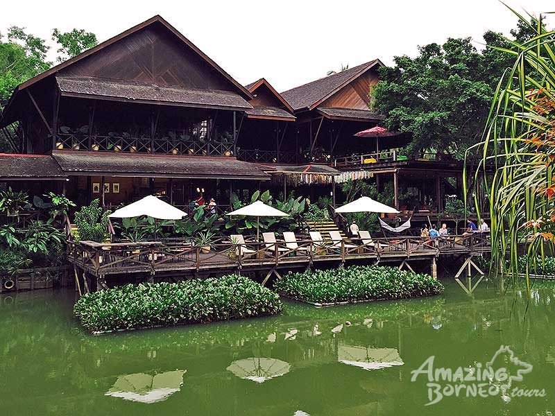 Amazing Borneo Perfect for nature lovers!
