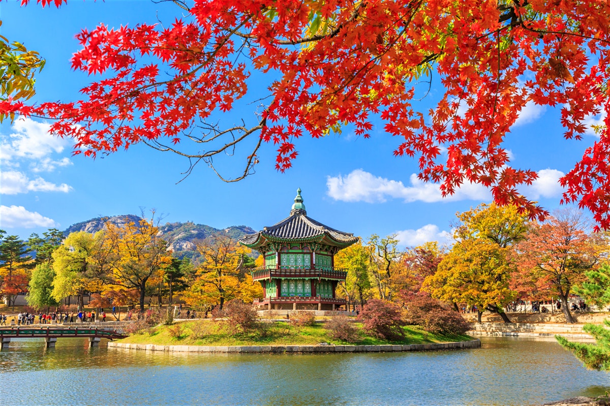 Lonely Planet Psst the best time to go is during spring or the cherry blossom season!