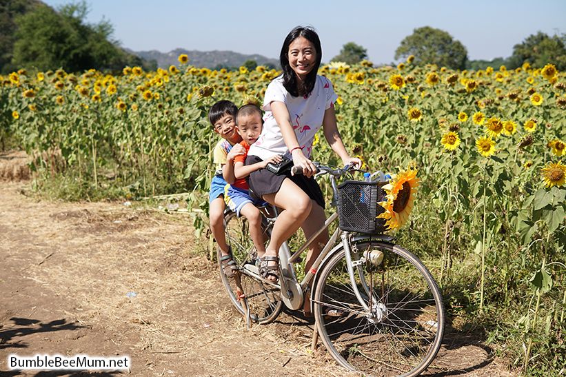bumblebeemum.net So cute, you can even ride a bike within the farm.
