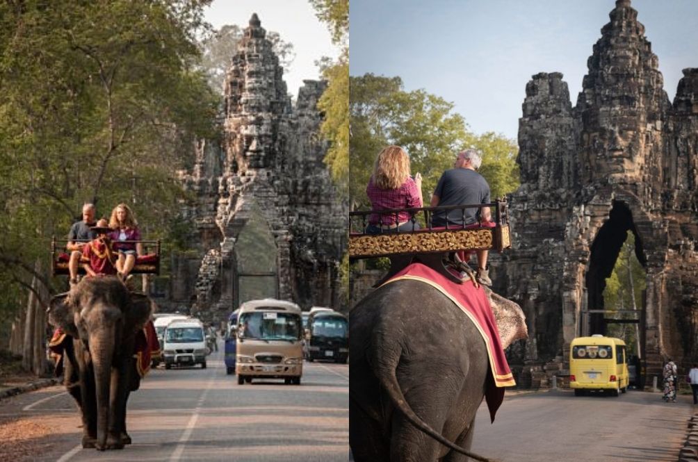 Moving Animals The infamous elephant ride at Angkor Wat.