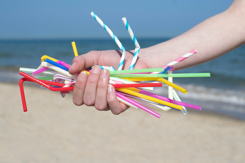 openaccessgovernment.org This move will mean less straws will make its way into our oceans.