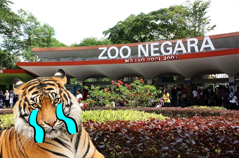 Zoo Negara Reportedly Does Not Have Money For Upgrading Works