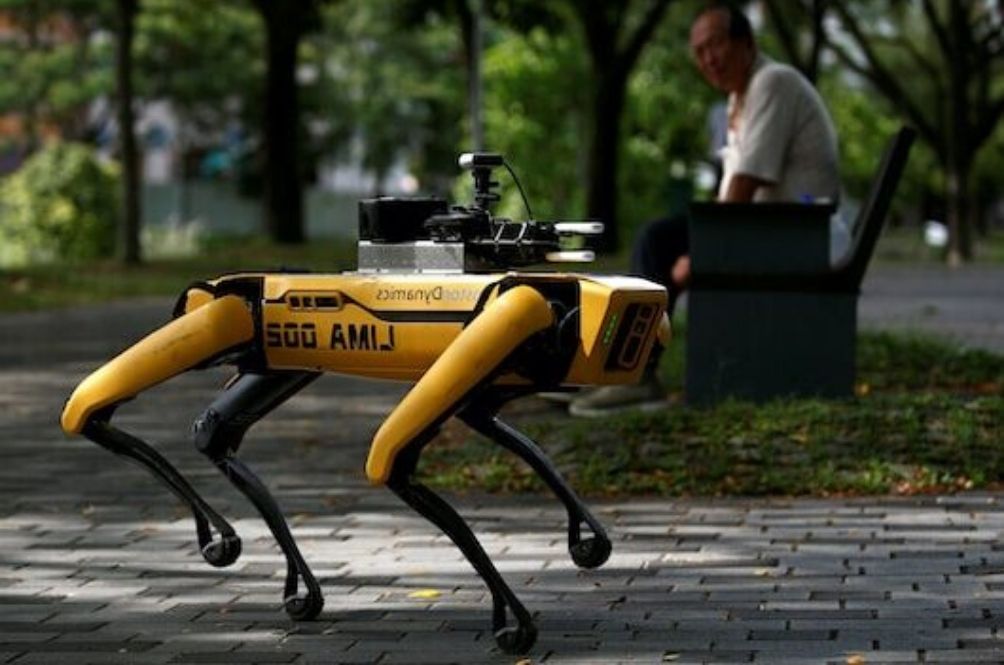 [VIDEO] Talking Robot Dogs Help Authorities Patrol Parks In Singapore