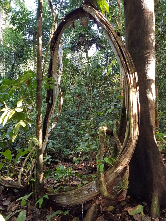 Nature is fascinating