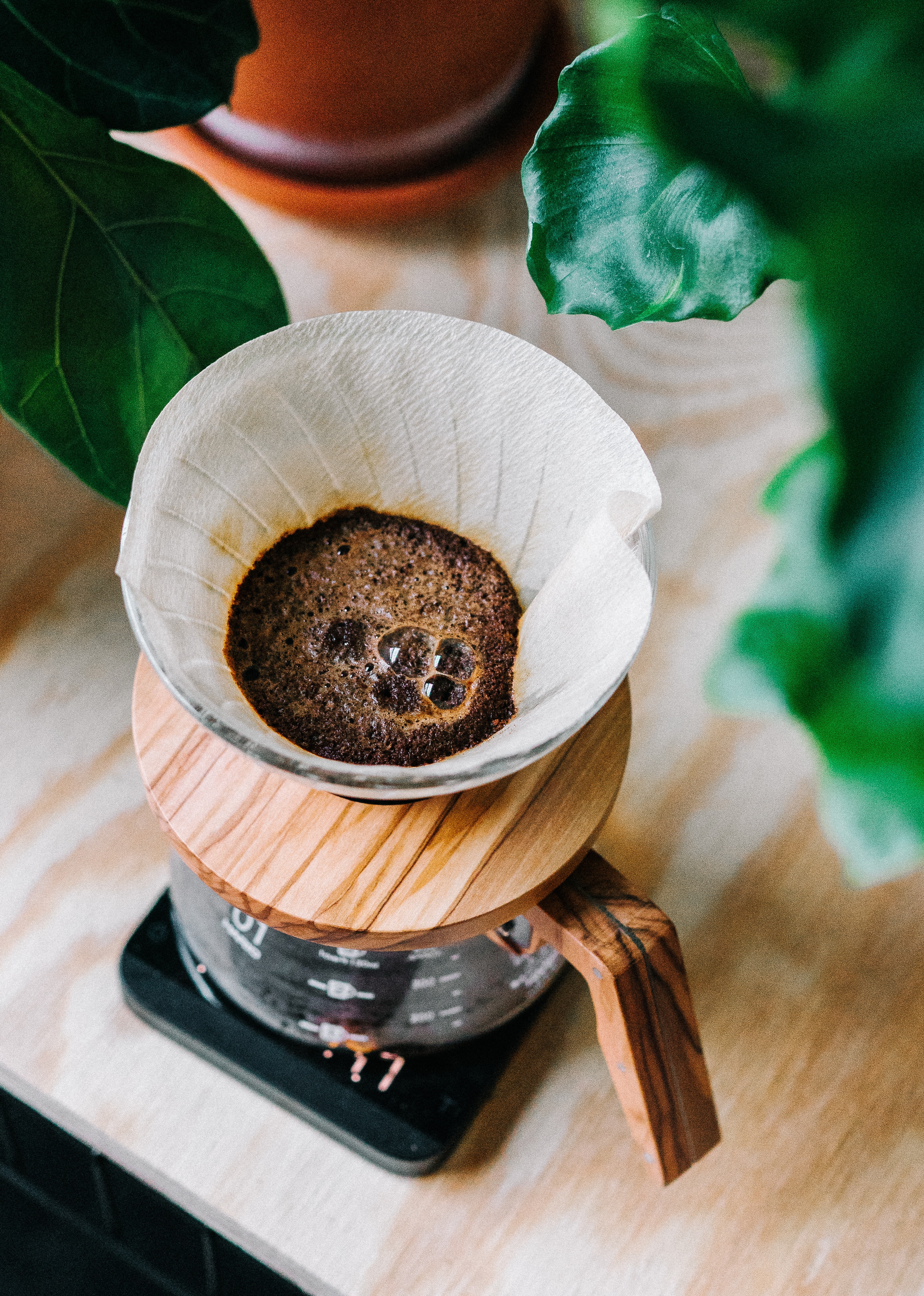 Mike Marquez on Unsplash Mike Marquez on Unsplash