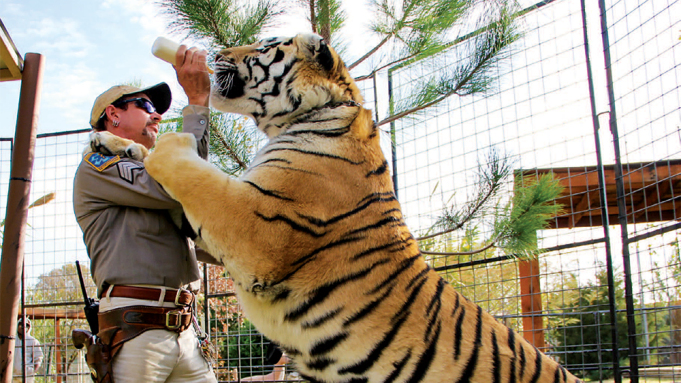 Variety Joe Exotic feeding one of his big cats