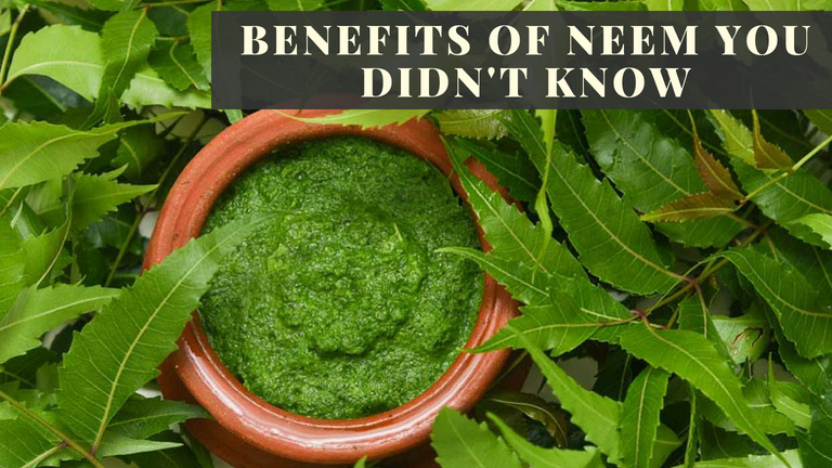 Why Indians Plant Neem Tree Outside their Houses? | Astro Ulagam