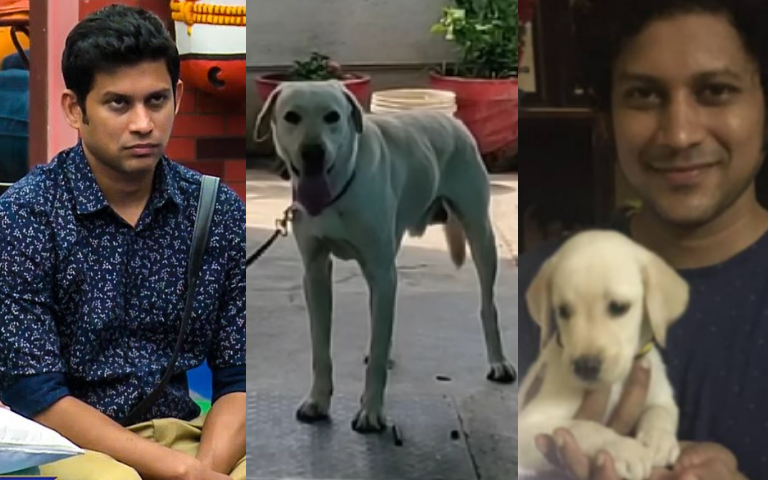 Unhealthy obsession with pets image