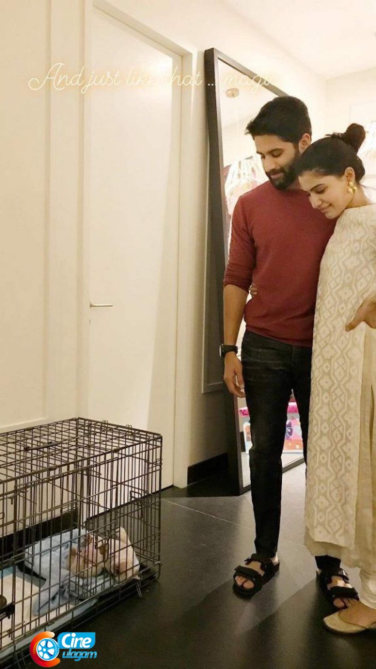 Have You Seen The Interior Of Actress Samantha�s House