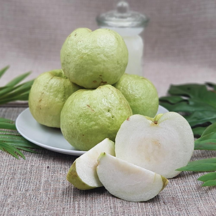 fruit-july16-4.jpg fruit-july16-4.jpg