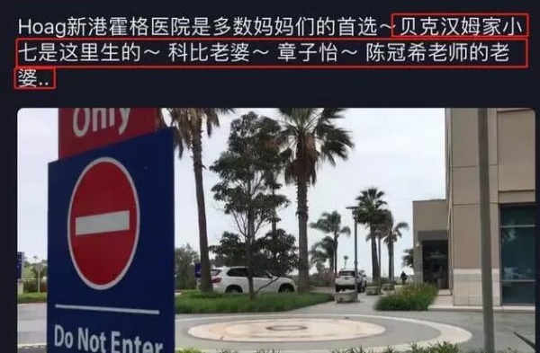 ziyi_06.jpg