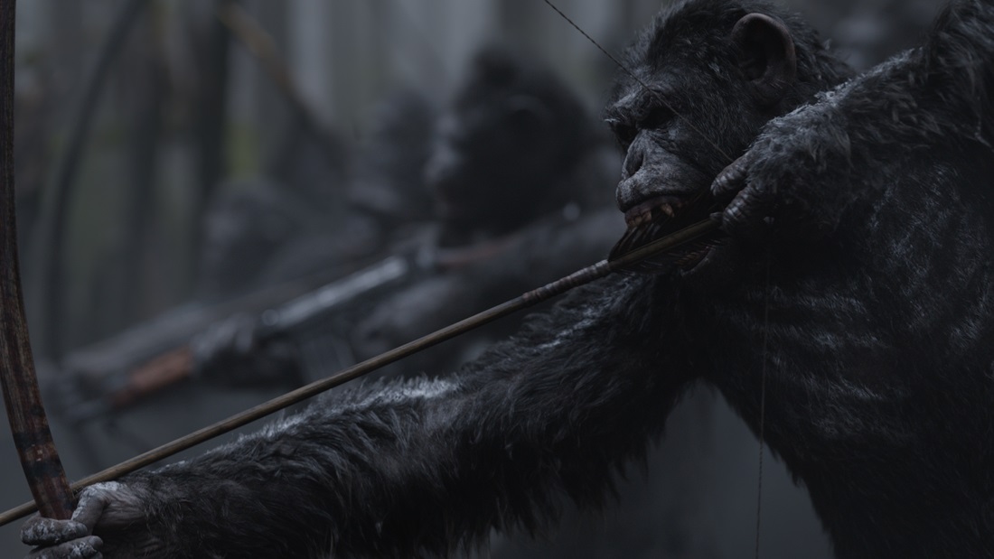 warapes_05.jpg warapes_05.jpg