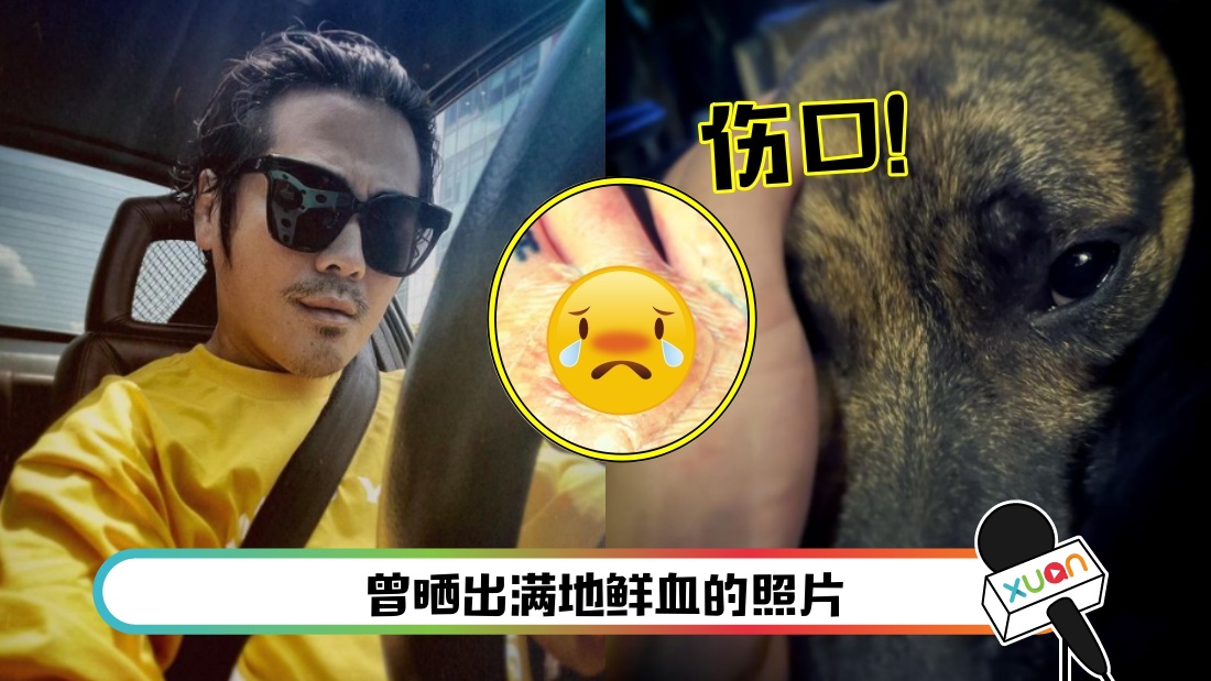 意外遭爱犬咬伤...网民担心曹格弃养！他亲晒伤势照回应