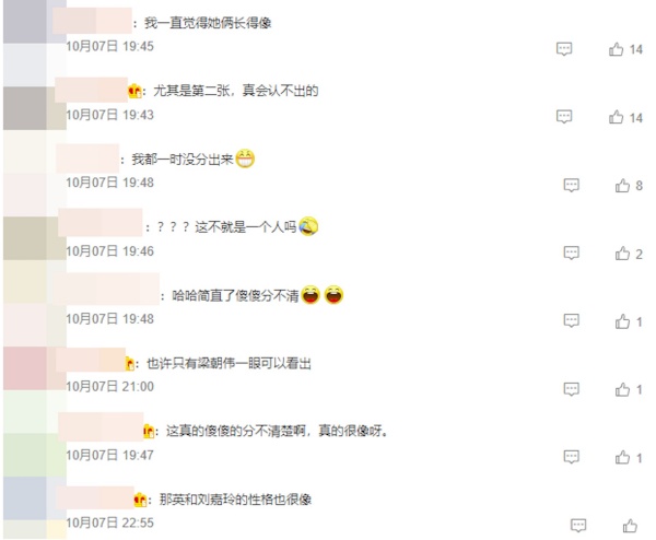刘嘉玲撞脸那英