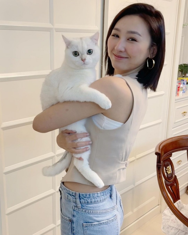 高海宁续约有望