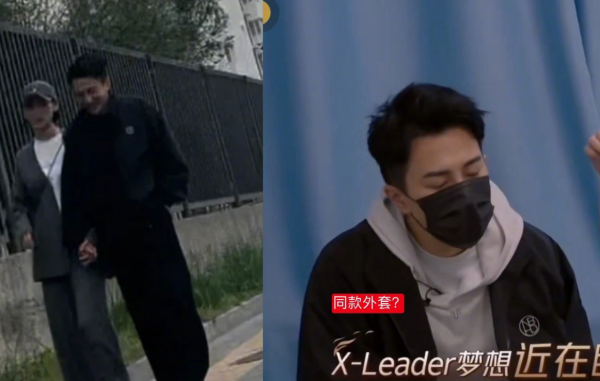 刘丹不反对刘恺威再婚