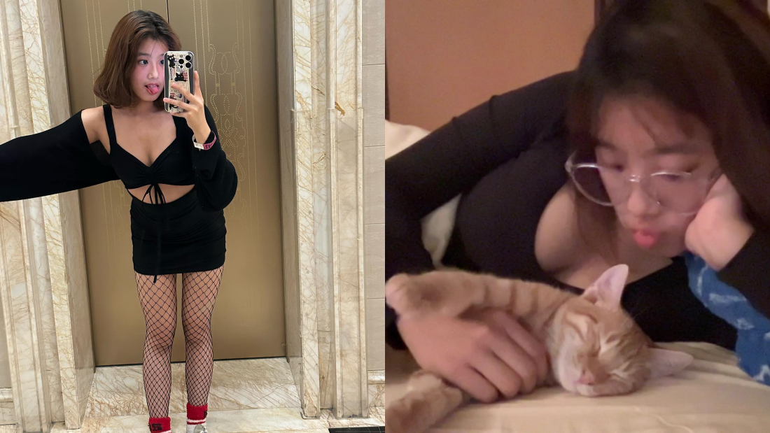 修杰楷劝告梧桐妹