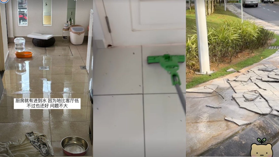 大马网红Miki家门口大淹水