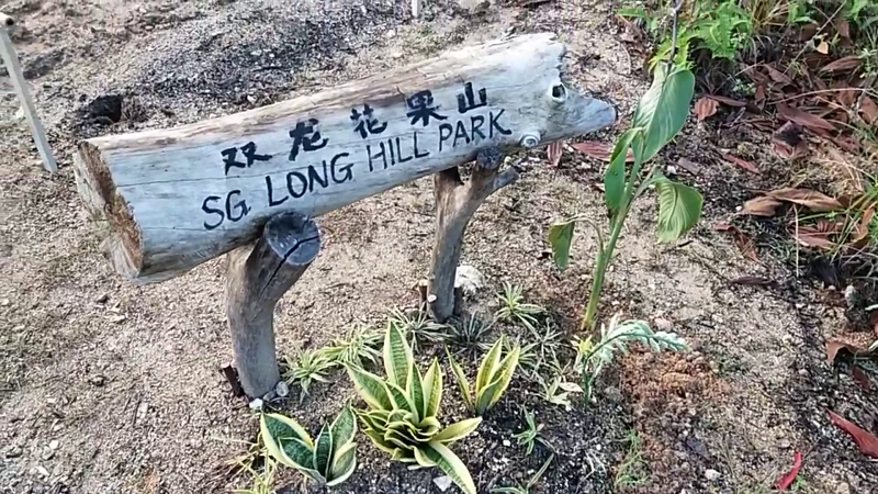sg long花果山