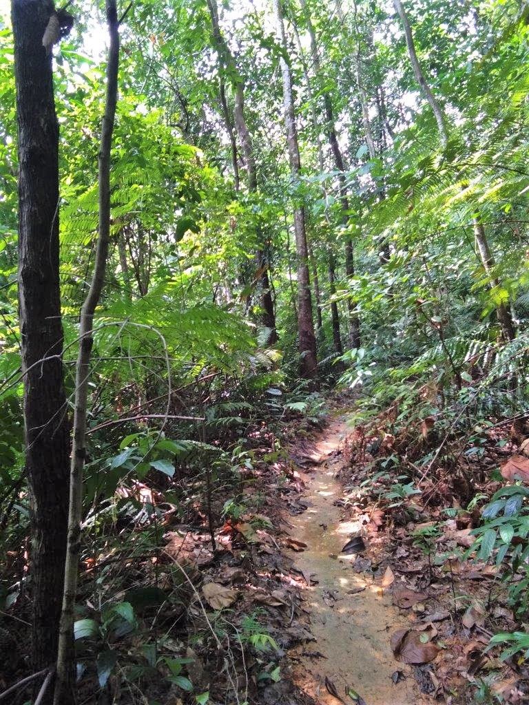 Dinding Hill