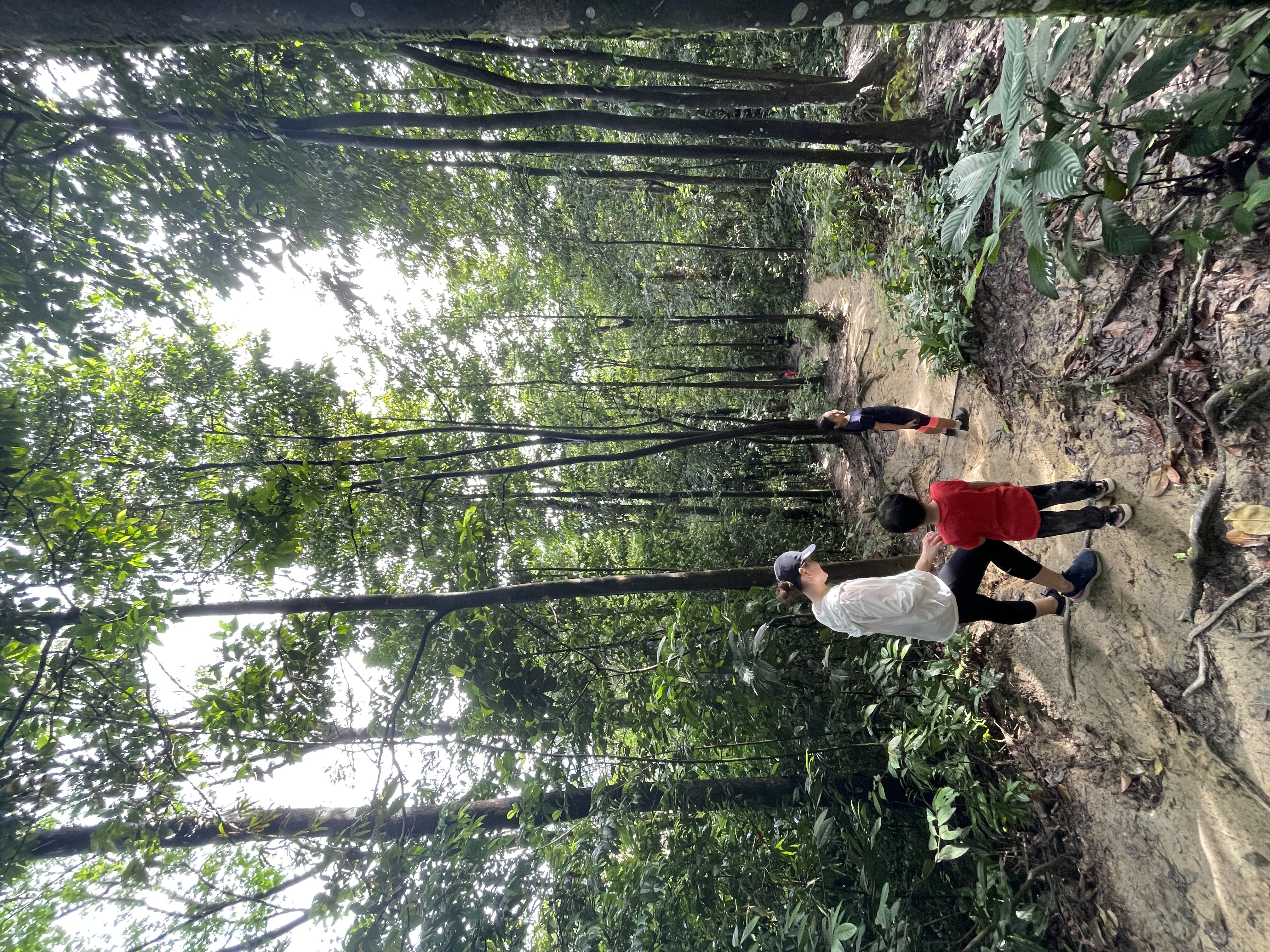 Sri Bintang Hill